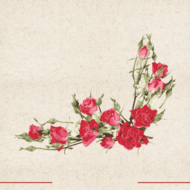 矢量动物 矢量植物 插画 手绘