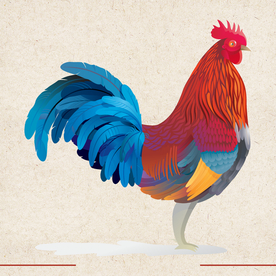 矢量动物 矢量植物 插画 手绘