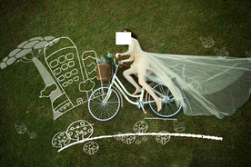 婚纱照 写真 草地 绘画 粉笔