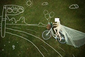 婚纱照 写真 草地 绘画 粉笔