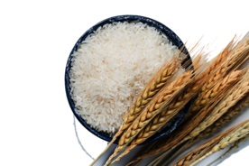 大米麦穗食堂文化海报素材