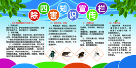 讲卫生除四害社会公益宣传展板