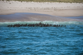 海岸风景摄影图
