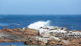 海岸风景摄影图