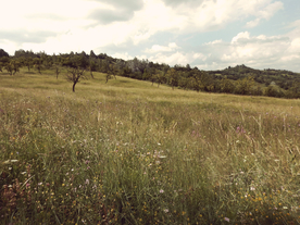 海岸风景摄影图