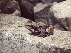 海岸风景摄影图