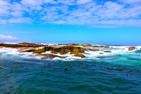 海岸风景摄影图