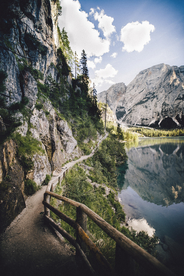 中式古典花鸟工笔画