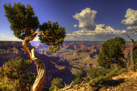 海岸风景摄影图
