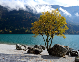 海岸风景摄影图