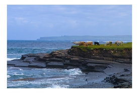 海岸风景摄影图