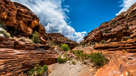 海岸风景摄影图