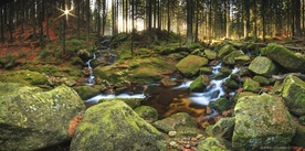 海岸风景摄影图