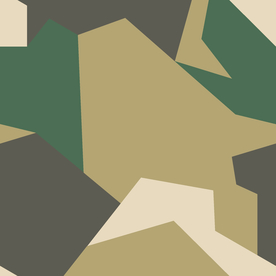 无缝迷彩 迷彩纹理 迷彩印花