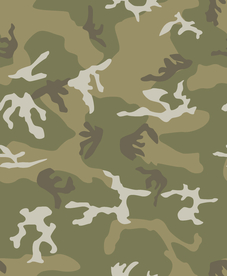 无缝迷彩 迷彩纹理 迷彩印花