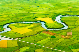 梯田