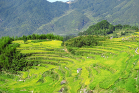 梯田