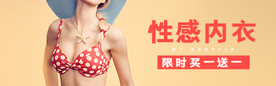 性感内衣 文胸