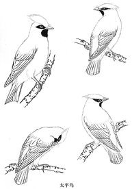 中式古典花鸟工笔画