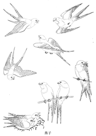 中式古典花鸟工笔画