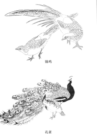 中式古典花鸟工笔画