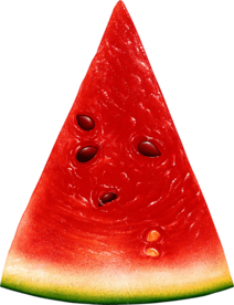 西瓜元素图片