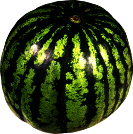 西瓜元素图片