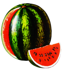 西瓜元素图片