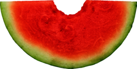 西瓜图片元素