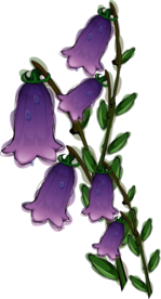 免扣风铃草元素图片