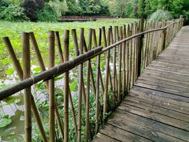 竹栅栏