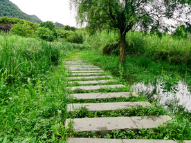 公园小路