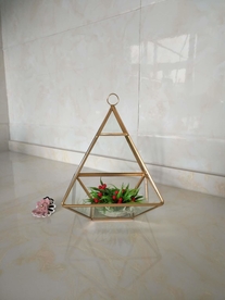 北欧几何玻璃花房实拍图