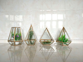 玻璃花房实拍图