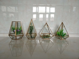 几何玻璃花房摆件实拍图