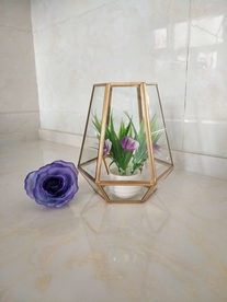 北欧风几何玻璃花房摆件实拍图