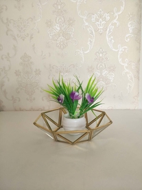 几何多边形玻璃花房摆件实拍图