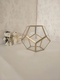 几何多边形玻璃花房摆件实拍图