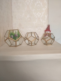 几何玻璃花房摆件实拍图