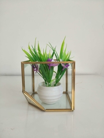 北欧风几何玻璃花房摆件实拍图