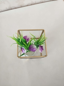 北欧风几何玻璃花房摆件实拍图