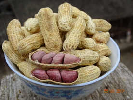 红衣花生/白衣花生