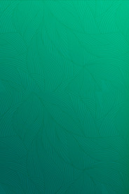 端午节粽子素材图片