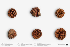 温馨圣诞插画背景装饰海报图片