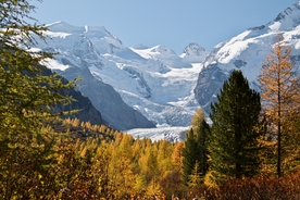 风景