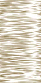 横条咖色豹纹效果