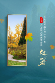 处暑传统节日活动宣传海报素材