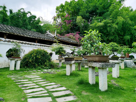 盆景园