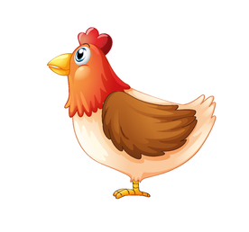 鸡