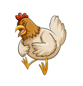 鸡